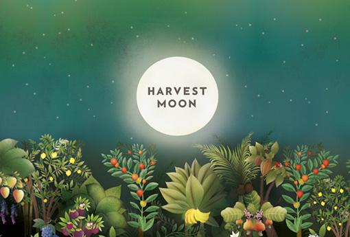 Harvest Moon